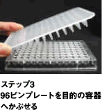 トランスファーセット